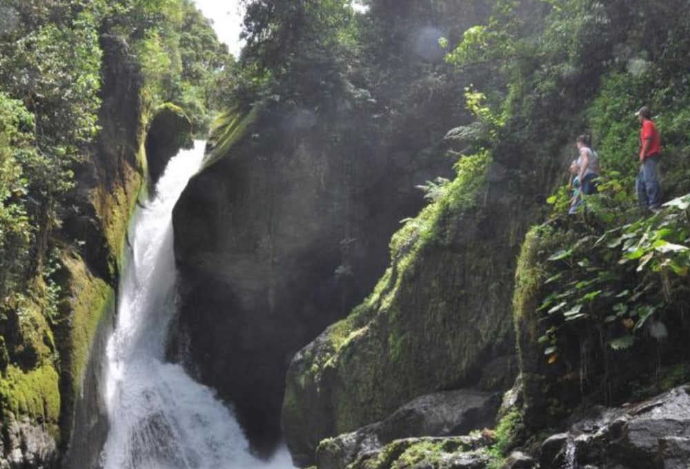 Sueños del Bosque Lodge